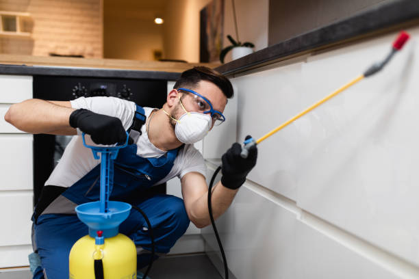 Best Bed Bug Extermination  in Smith Valley, NV