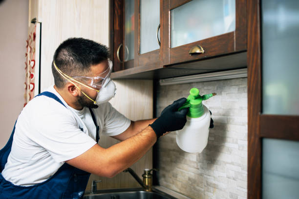 Best Best Pest Control Companies  in Smith Valley, NV