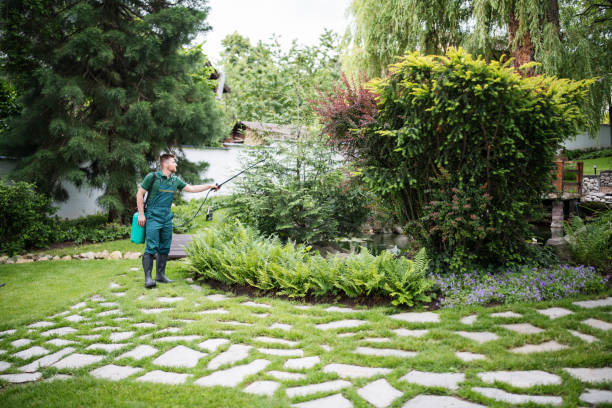 Best Local Pest Control Services  in Smith Valley, NV
