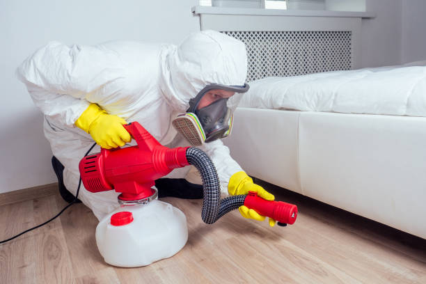 Best Local Pest Control Services  in Smith Valley, NV