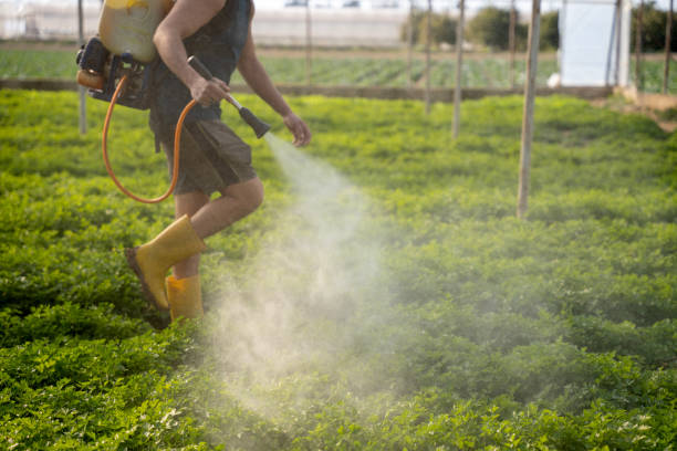 Best Pest Control Near Me  in Smith Valley, NV